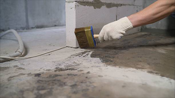 24/7 Emergency Crawl Space Encapsulation experts in Kingston, NY